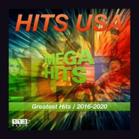113.FM Hits USA (Top 40 / Hits)