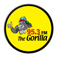 95.3 The Gorilla
