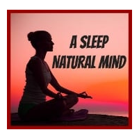 A Sleep Natural Minds