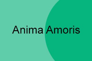 Anima Amoris - Dub Techno