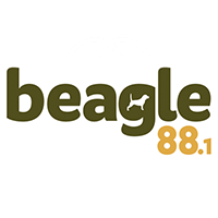 Beagle Radio Live