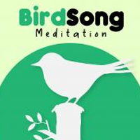 Радио Spinner - Birdsong and Meditation Radio