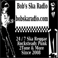 Bob's SKA Radio