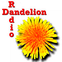 Dandelion Radio