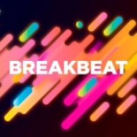 DFM Breakbeat