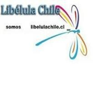 LibelulaChile.com
