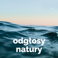 OpenFM - Odglosy Natury