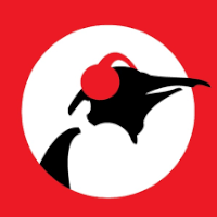 Pinguin Aardschok