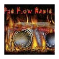 Pro Flow Radio