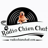 Radio chat