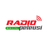 Radio Municipal Peleusi