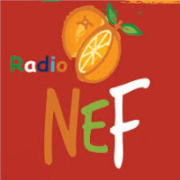 Radio NeF