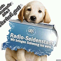 Radio Seidenstadt