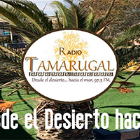 Radio Tamarugal