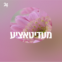 Radio Yddish 24 - מעדיטאציע