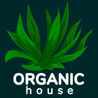 RadioSpinner - Organic House