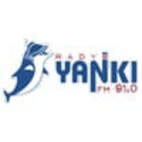 Онлайн радио Radyo Yankı