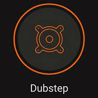 Record Dubstep