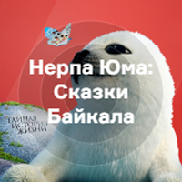 Русское Радио - Нерпа Юма: Сказки Байкала