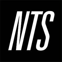 The Sounds of GTA | NTS