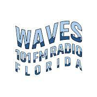 Waves 101 FM